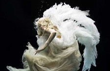 Swansong – Zena Holloway